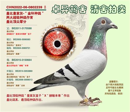 �w�ȡ�피�(j��)�䌦����h(hu��n)�Ӵ�