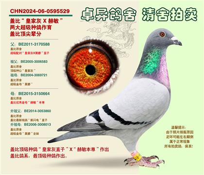 �w�ȡ�피�(j��)�䌦���Ӵ�