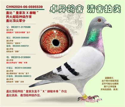 �w�ȡ�피�(j��)�䌦���Ӵ�