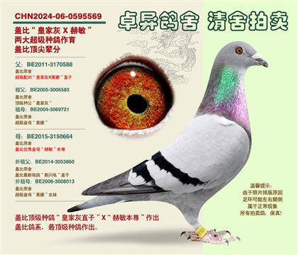 �w�ȡ�피�(j��)�䌦���Ӵ�