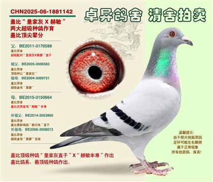 �w�ȡ�피�(j��)�䌦���Ӵ�