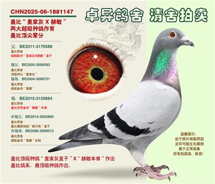 �w�ȡ�피�(j��)�䌦���Ӵ�