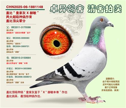 �w�ȡ�피�(j��)�䌦���Ӵ�