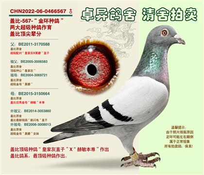 �w�ȡ�피�(j��)�䌦����h(hu��n)567