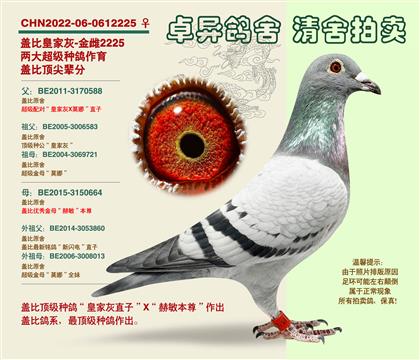 �w�ȡ�피�(j��)�䌦�����2225