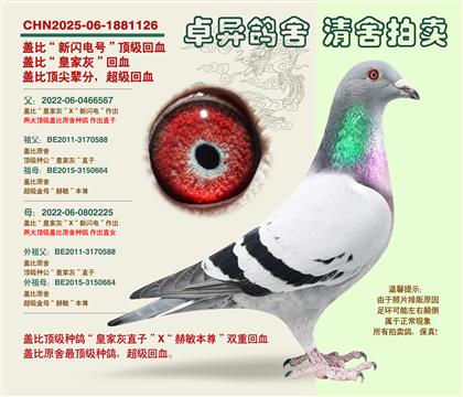 �w�ȡ������䡱��Ѫ