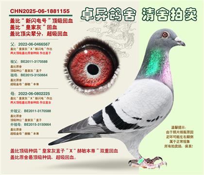 �w�ȡ������䡱��Ѫ