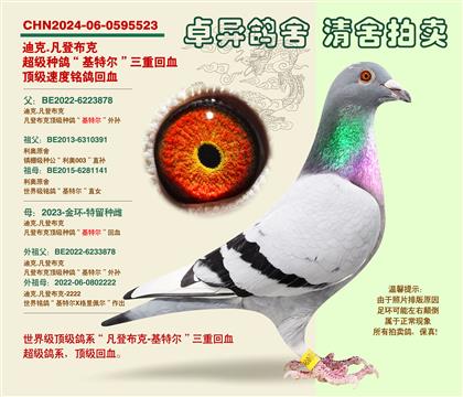 ���ǲ��ˡ���Ů�䡱��Ѫ