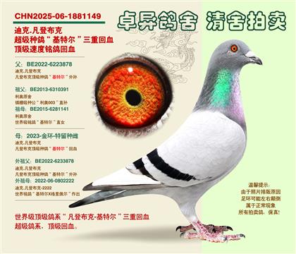 ���ǲ��ˡ���Ů�䡱��Ѫ