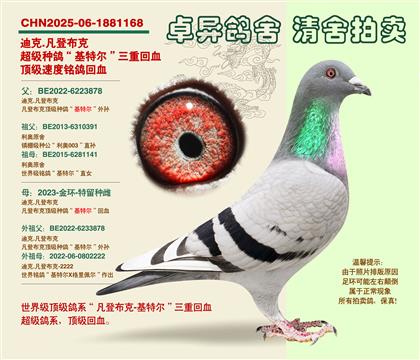 ���ǲ��ˡ���Ů�䡱��Ѫ