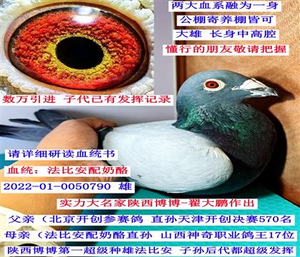 �������-�Դ��i�����Ȱ������ң�