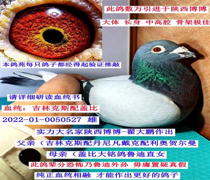 �������-�Դ��i���������w����?sh��)ϣ? width=