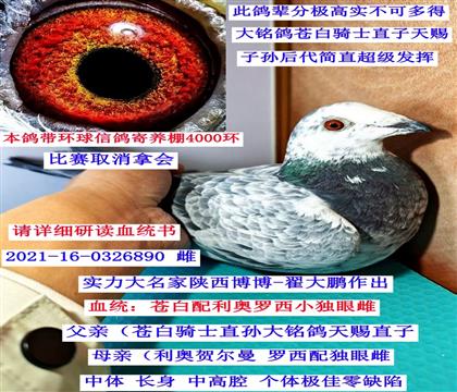 �������-�Դ��i���n�������W��