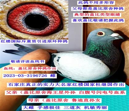 ʯ���f�t�Ǉ�(gu��)�H���w�Ⱥ����ǣ�