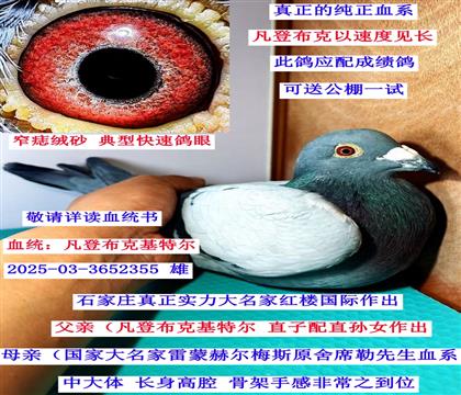 ʯ���f�t�Ǉ�(gu��)�H�����ǲ��˻��ؠ���