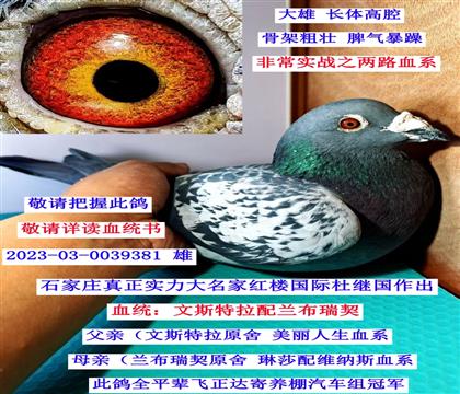 ʯ���f�t�Ǉ�(gu��)�H����˹�������m��������