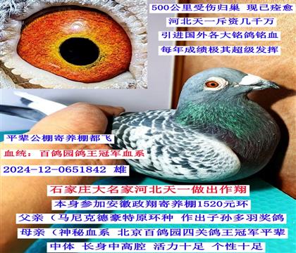 �ӱ���һ���I(y��)�������@������܊ͬѪϵ��