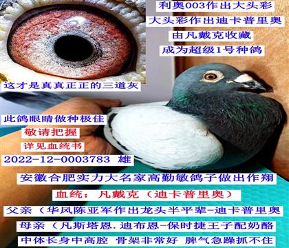 �����Ҹ��������A�L(f��ng)ꐁ�܊���^-�Ͽ�����W��