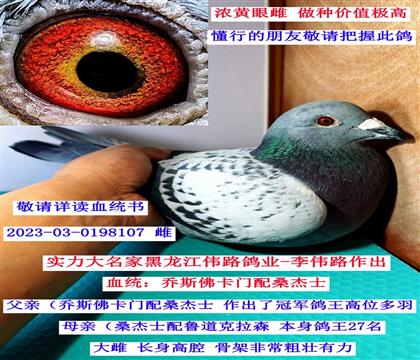 ��������·���I(y��)��ɣ��ʿ���˹���T(m��n)��