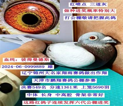 �����ķ��ǲ��ˣ�ͬѪϵ���ﳬ�����ӣ�