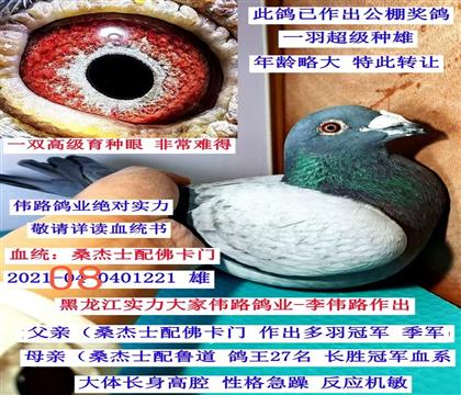 ������ΰ·��ҵ��ɣ��ʿ����˹���ţ�