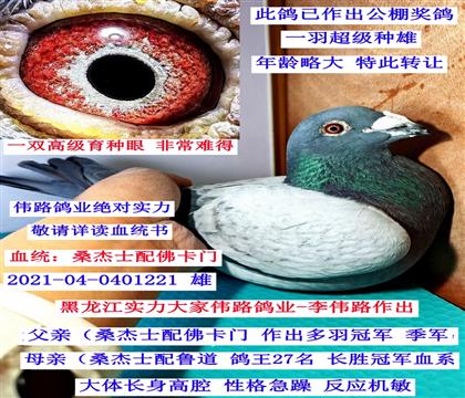 ��������·���I(y��)��ɣ��ʿ���˹���T(m��n)��