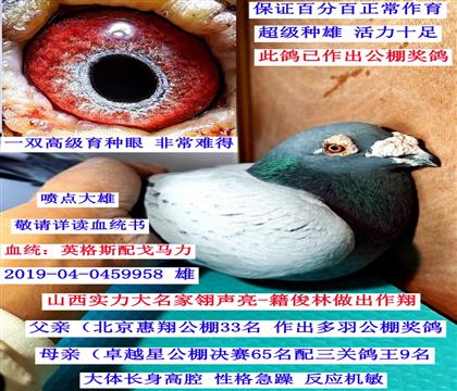 ɽ������-�����֣�Ӣ��˹����R����