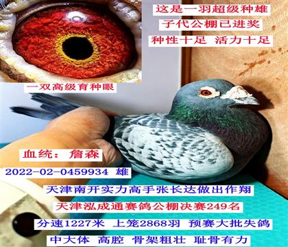 �߼�(j��)�N����ղɭ���ۣ�