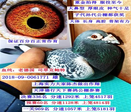 �N�ۣ�˾����U�أ�