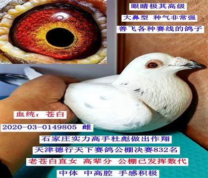 �ִƣ��԰ף�