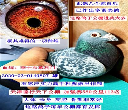 ������ʿ�ܣ�Ľ���T(m��n)��