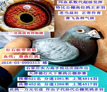 �tʯ������