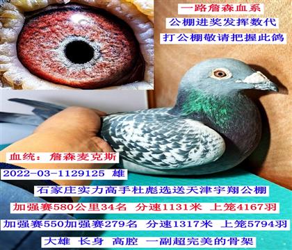 ղɭ����˹��