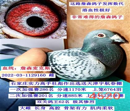 ղɭ����˹��