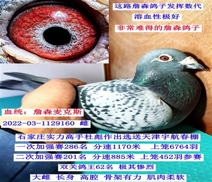 ղɭ����˹��