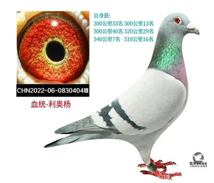 ����(j��)�N�ۣ����W�