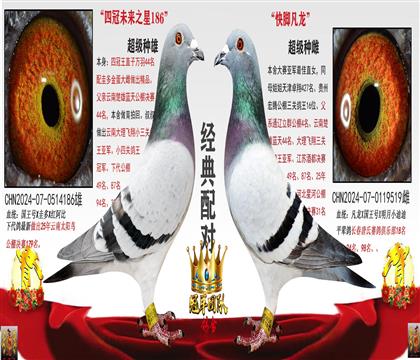 ÿ��һ��(g��)���]�䌦�������(n��i)���l(f��)�]�S�r(sh��)�{(di��o)�Q��