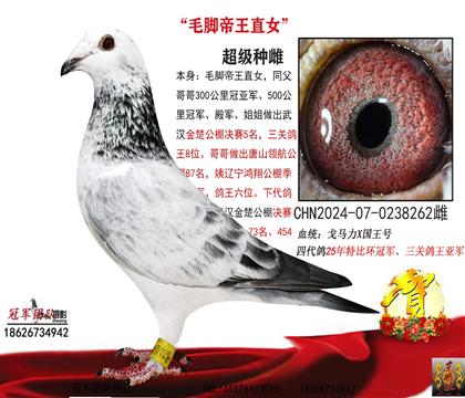 ë�_����ֱŮ������Qِ5���̣�0��