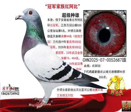 �t����������õ�һ������0�𣨽���ֻ��һ��