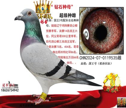 ����3̖��ѪֱŮ0Ԫ����