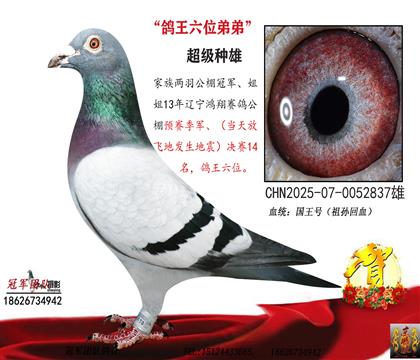 ����3̖����Ψһһ�����ӣ���O�䣩