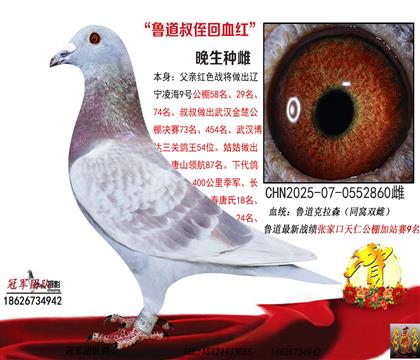 ���ۻ�ѪֱŮ0Ԫ����