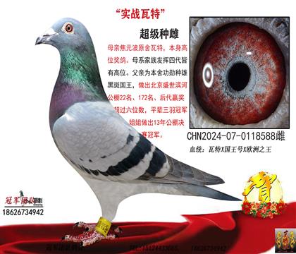 ��Ԫ�����ؽ�ĸֱŮ