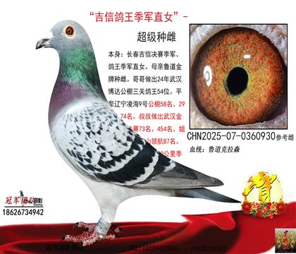 ���ż�܊ֱŮ