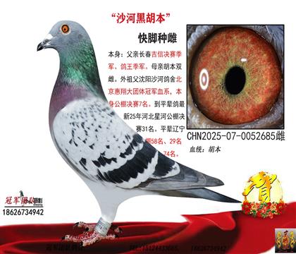 ���_ɳ�Ӻں��������山�������F(tu��n)�w��܊��