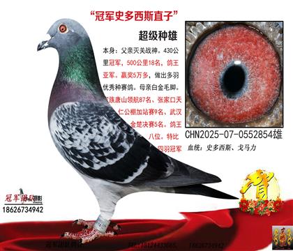 ��܊ʷ����˹X�׽�ë�_