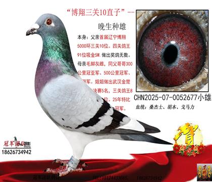 �������P(gu��n)10Xë�_���