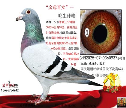 �������P(gu��n)10X�ʺ��ĸ