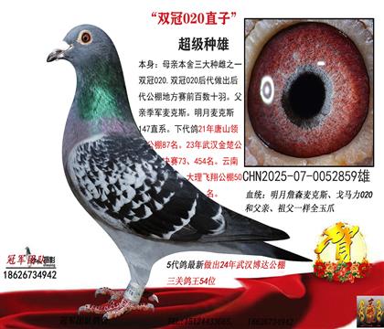 �p��020X��������˹147