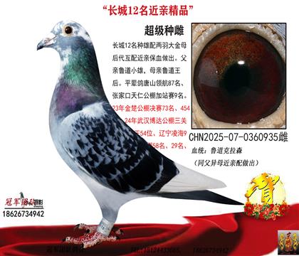 ���H��Ѫ��?sh��)������݅��ͬ����ĸ��? width=